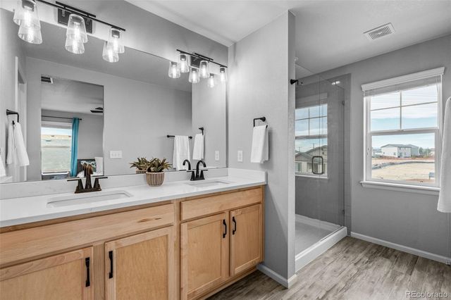 512 Blue Teal Drive, Castle Rock, CO 80104