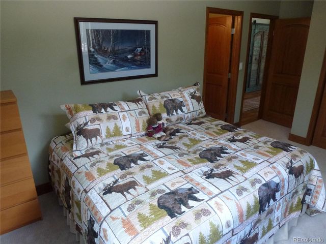 13694 Drake Court, Pine, CO 80470