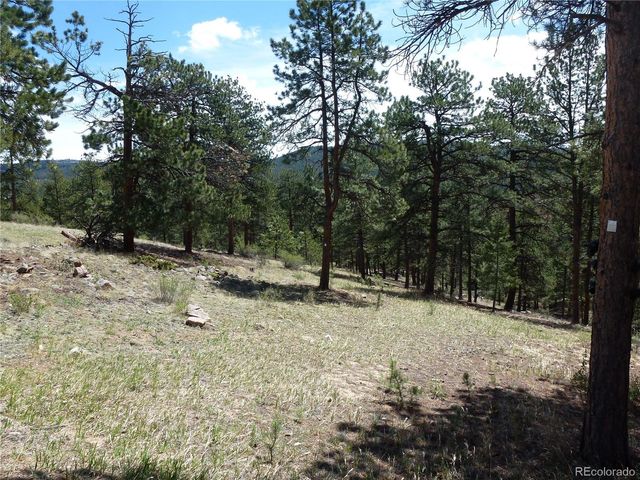 13694 Drake Court, Pine, CO 80470