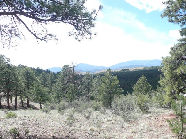 13694 Drake Court, Pine, CO 80470