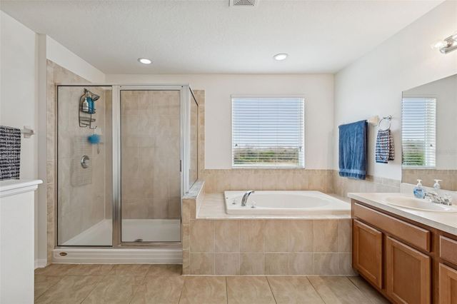 9225 SEEGER LANE, Land O Lakes, FL 34638