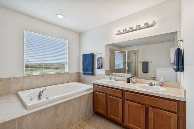 9225 SEEGER LANE, Land O Lakes, FL 34638