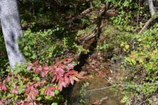 Lot 1 Arrow Trail, Monterey, TN 38574