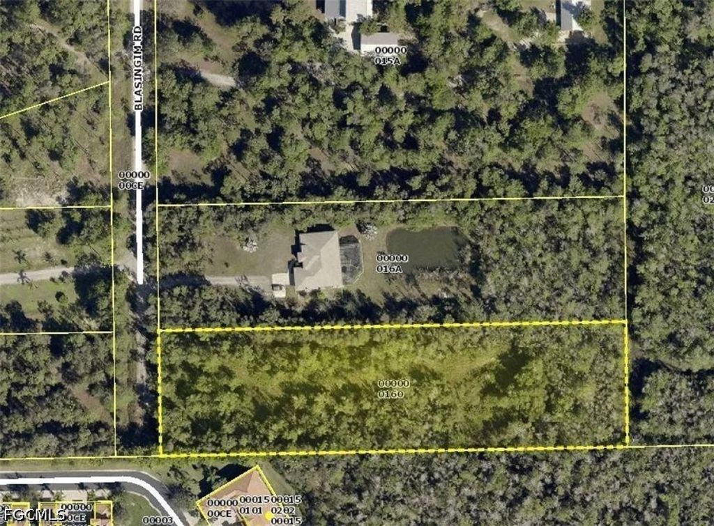 12491 Blasingim RD, Fort Myers, FL 33966
