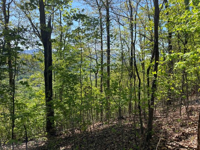 Lot 11J Ash Branch View, Hayesville, NC 28904
