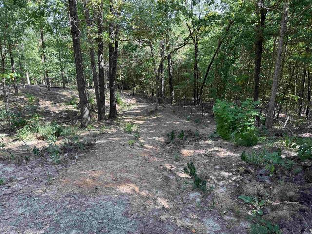 143 Greene Road 610, Beech Grove, AR 72412