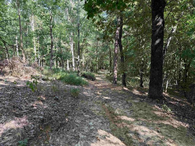 143 Greene Road 610, Beech Grove, AR 72412