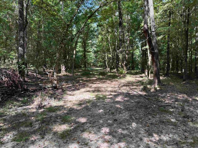 143 Greene Road 610, Beech Grove, AR 72412