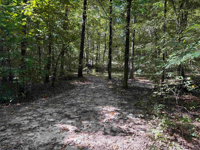 143 Greene Road 610, Beech Grove, AR 72412