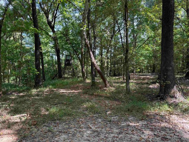 143 Greene Road 610, Beech Grove, AR 72412