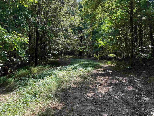 143 Greene Road 610, Beech Grove, AR 72412