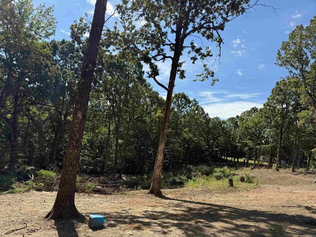 143 Greene Road 610, Beech Grove, AR 72412