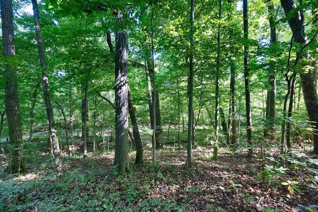 286 Springhill Road, Huntsville, AL 35806