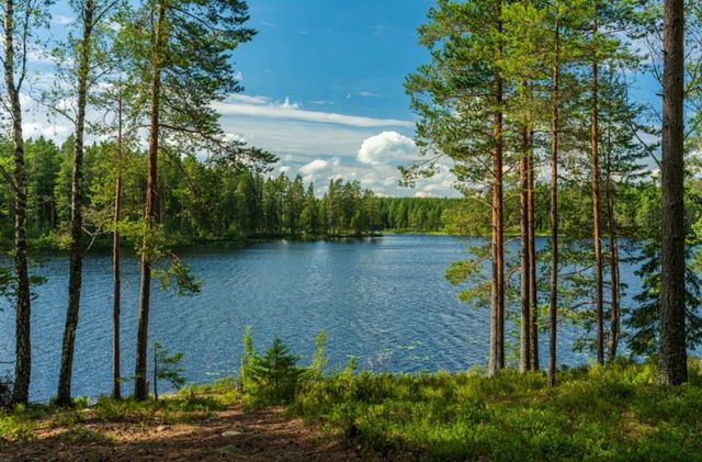 50 CR 3227 Unit 88, Mt Pleasant, TX 75455