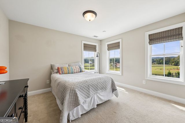 109 Etowah Downs Court, Ball Ground, GA 30107