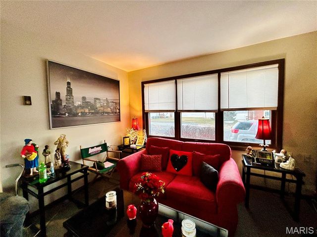 207 S Main Street, Louisiana, MO 63353