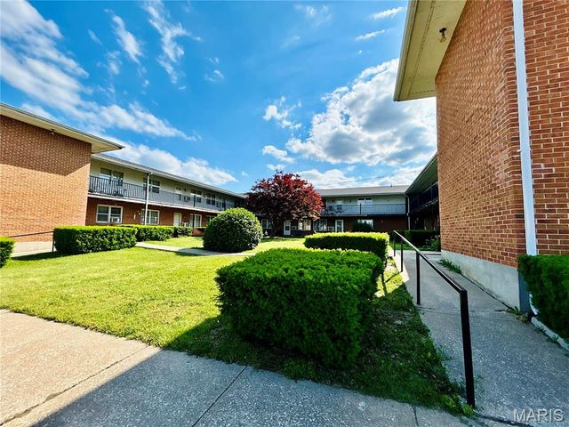 207 S Main Street, Louisiana, MO 63353