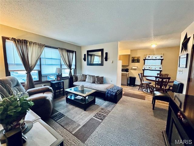 207 S Main Street, Louisiana, MO 63353