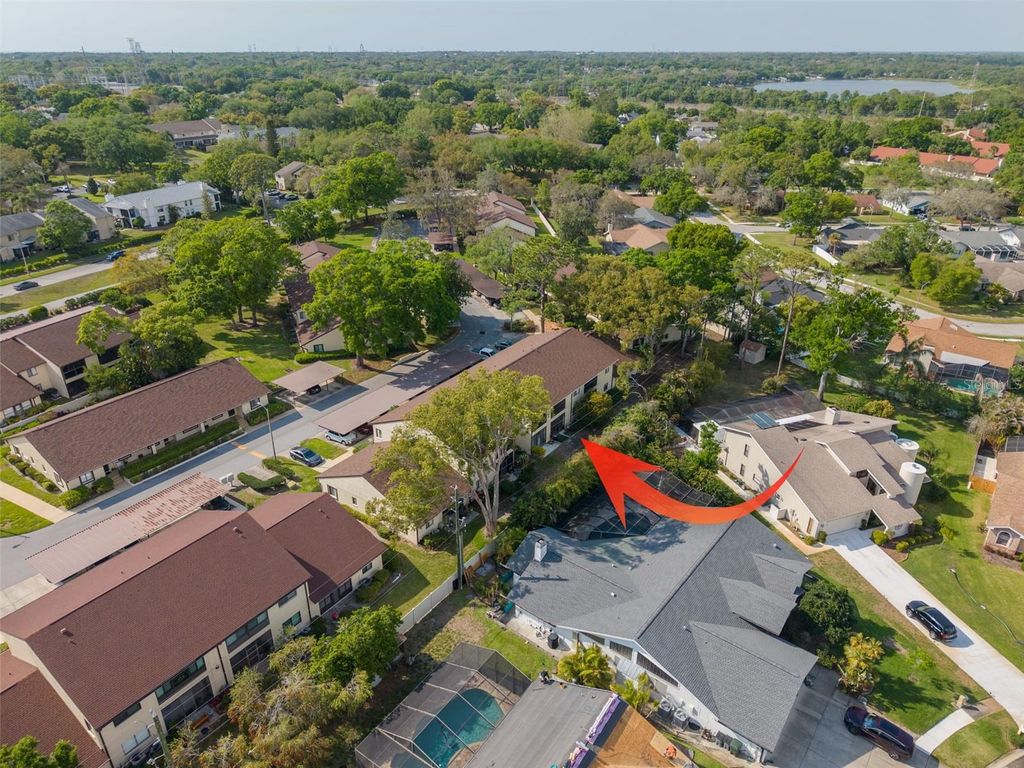 Image 25 of property listing at 3590 MAGNOLIA RIDGE CIRCLE C-1103, Palm Harbor, FL 34684