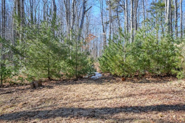 183 Willow Brook LN, Pilot, VA 24138