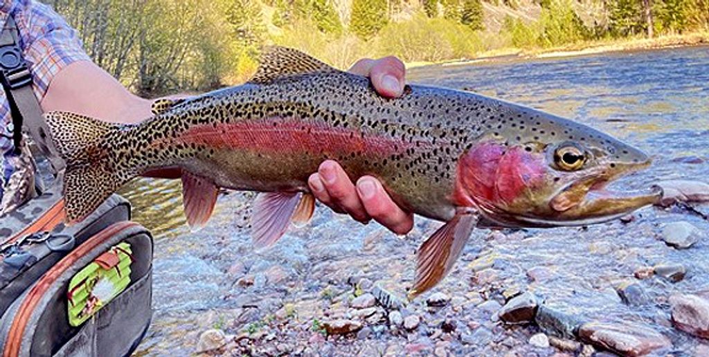 716 Rock Creek Road, Clinton, MT 59825 photo 12