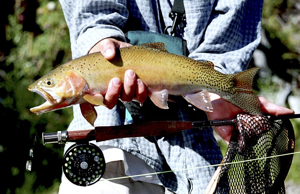 716 Rock Creek Road, Clinton, MT 59825 photo 16