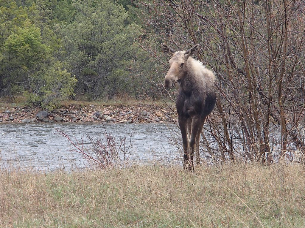 716 Rock Creek Road, Clinton, MT 59825 photo 37