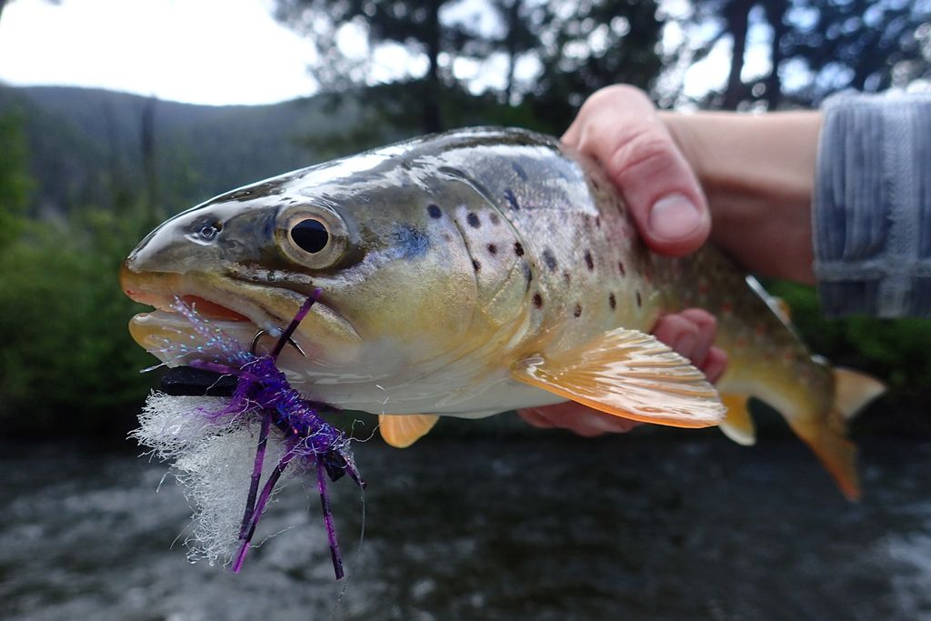 716 Rock Creek Road, Clinton, MT 59825 photo 51