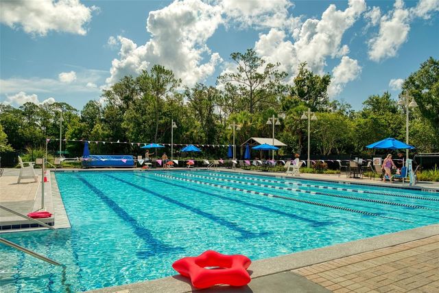 810 LAKE EVALYN DRIVE, Celebration, FL 34747