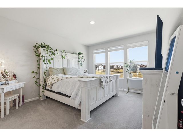 16736 Chilton Dr, Mead, CO 80542