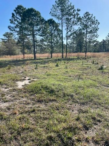 CAESAR AVENUE, Orlando, FL 32833
