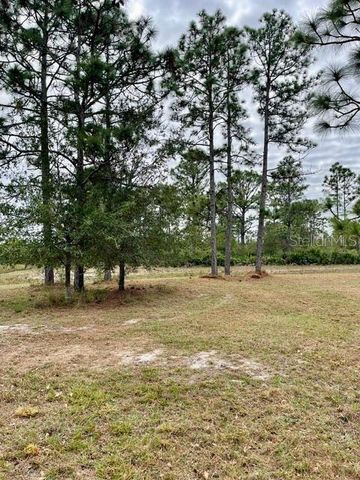 CAESAR AVENUE, Orlando, FL 32833