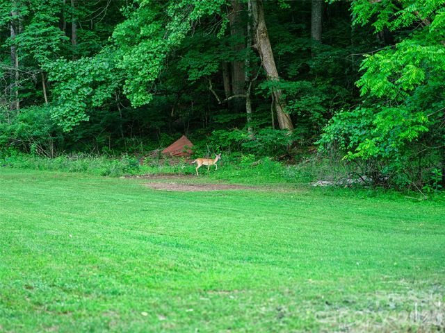 232 Langford Branch Road, Burnsville, NC 28714