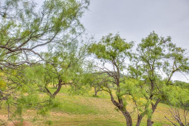 11254 Mount Nebo Road, San Angelo, TX 76901