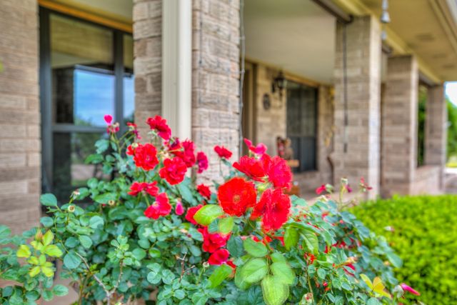 11254 Mount Nebo Road, San Angelo, TX 76901