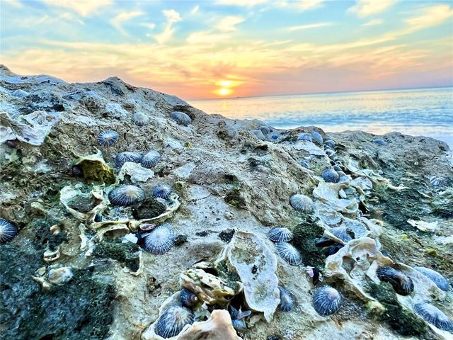 11405 8TH STREET E, Treasure Island, FL 33706