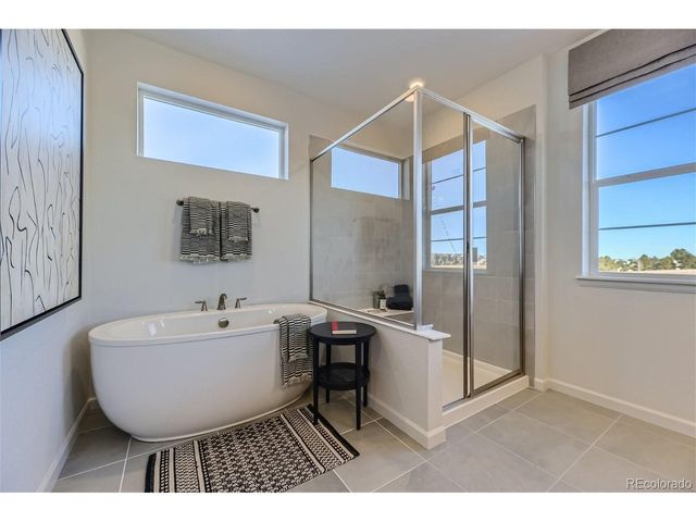 10710 Hanging Lake Pl, Parker, CO 80138