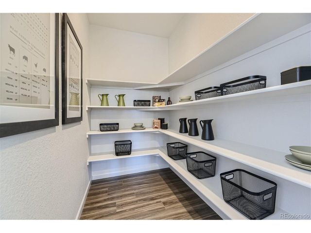 10710 Hanging Lake Pl, Parker, CO 80138