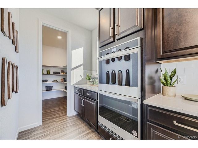 10710 Hanging Lake Pl, Parker, CO 80138