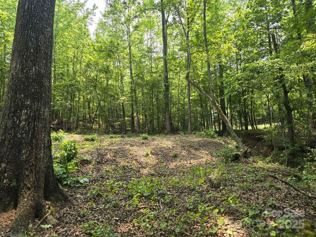 Lot 9 State Line Road 9, Mooresboro, NC 28114