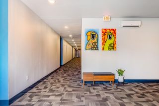 6444 Burnet RD 207, Austin, TX 78757