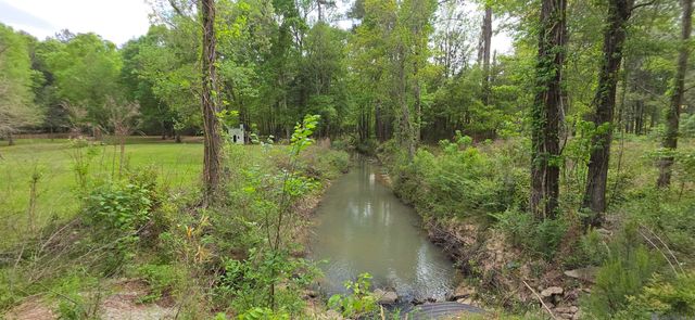TBD Cane Market Rd, Watson, LA 70706