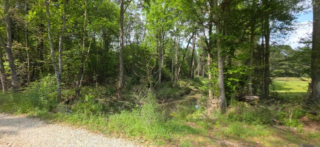 TBD Cane Market Rd, Watson, LA 70706