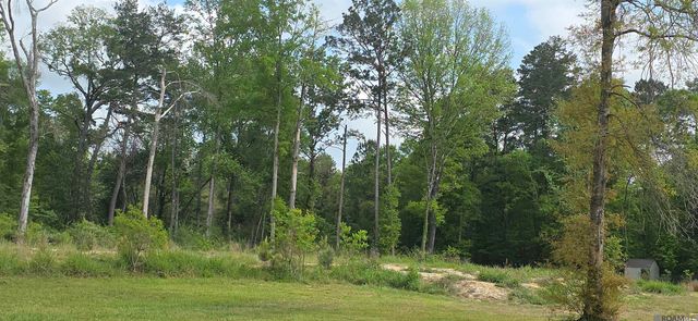 TBD Cane Market Rd, Watson, LA 70706