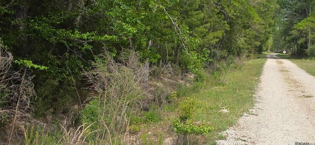 TBD Cane Market Rd, Watson, LA 70706