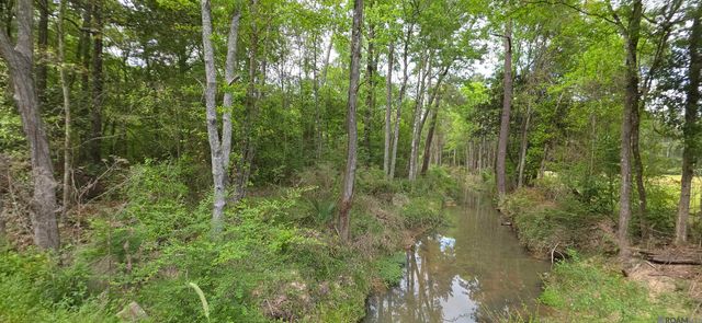 TBD Cane Market Rd, Watson, LA 70706
