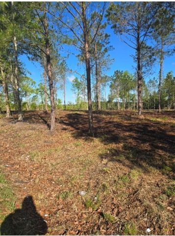 1513 Oakdale Rd., Loris, SC 29569