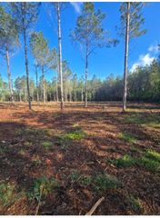 1513 Oakdale Rd., Loris, SC 29569