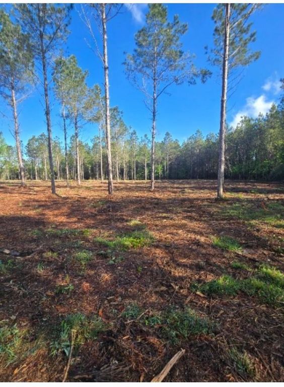 1513 Oakdale Rd., Loris, SC 29569