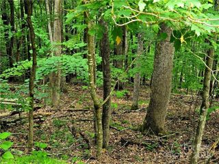 TBD Red Fox Ridge 5, Boone, NC 28607